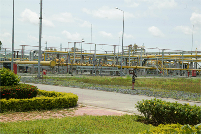 PV GAS D: thương hiệu mạnh của ngành khí