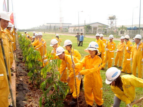 Công ty Vận chuyển Khí Đông Nam Bộ tổ chức Tết trồng cây năm 2011