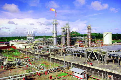 21 năm trưởng thành & phát triển 21 năm trưởng thành & phát triển