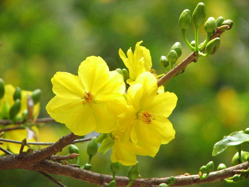 Lời chúc mừng năm mới Giáp Ngọ 2014 của Tổng Giám đốc PV Gas