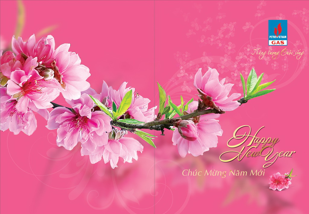 Lời chúc mừng Xuân Ất Mùi 2015 của Tổng Giám đốc PV GAS