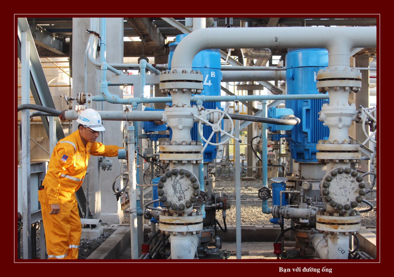 PVN dẫn đầu, PV GAS lọt vào Top10 doanh nghiệp lớn nhất Việt Nam 2015