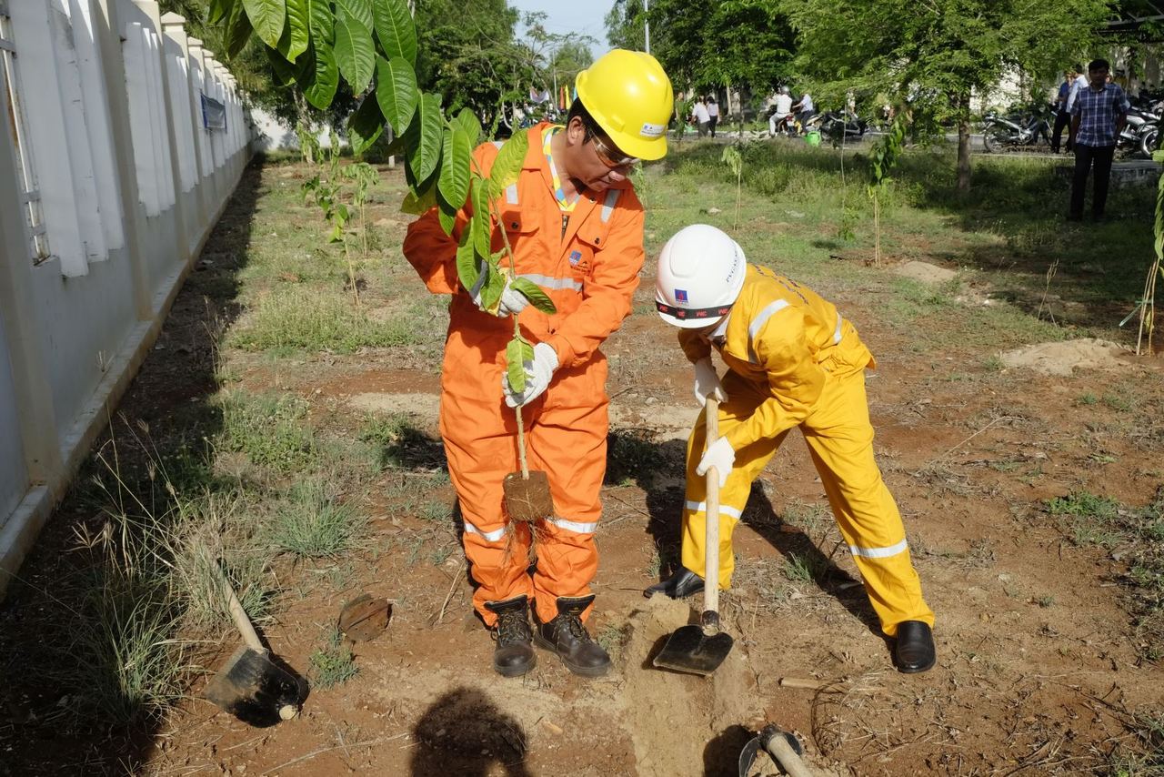 NCSP và KĐN hưởng ứng Ngày Môi trường Thế giới 5/6 NCSP và KĐN hưởng ứng Ngày Môi trường Thế giới 5/6