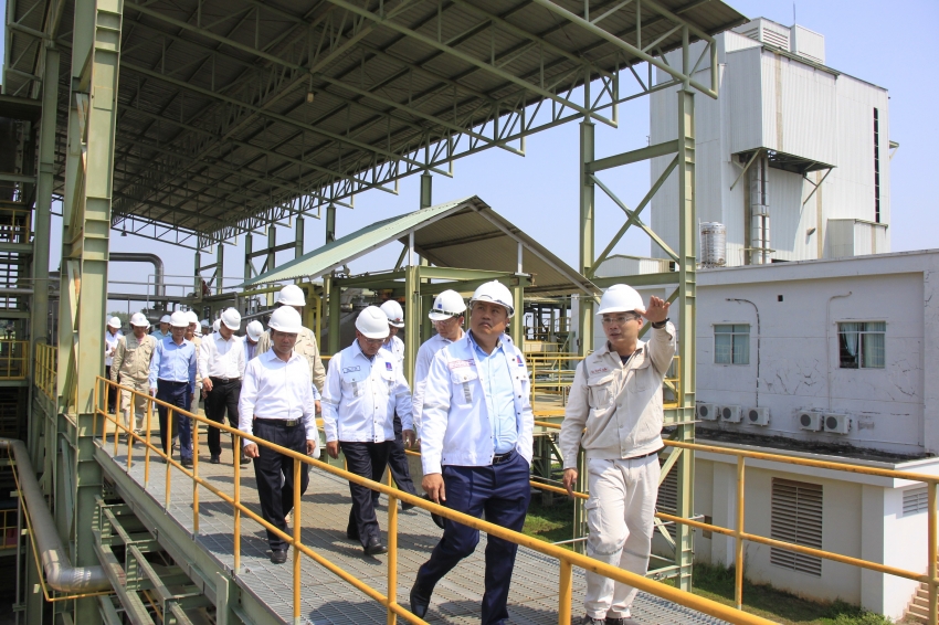Lãnh đạo Tập đoàn Dầu khí Việt Nam kiểm tra tình hình Nhà máy nhiên liệu sinh học Bình Phước