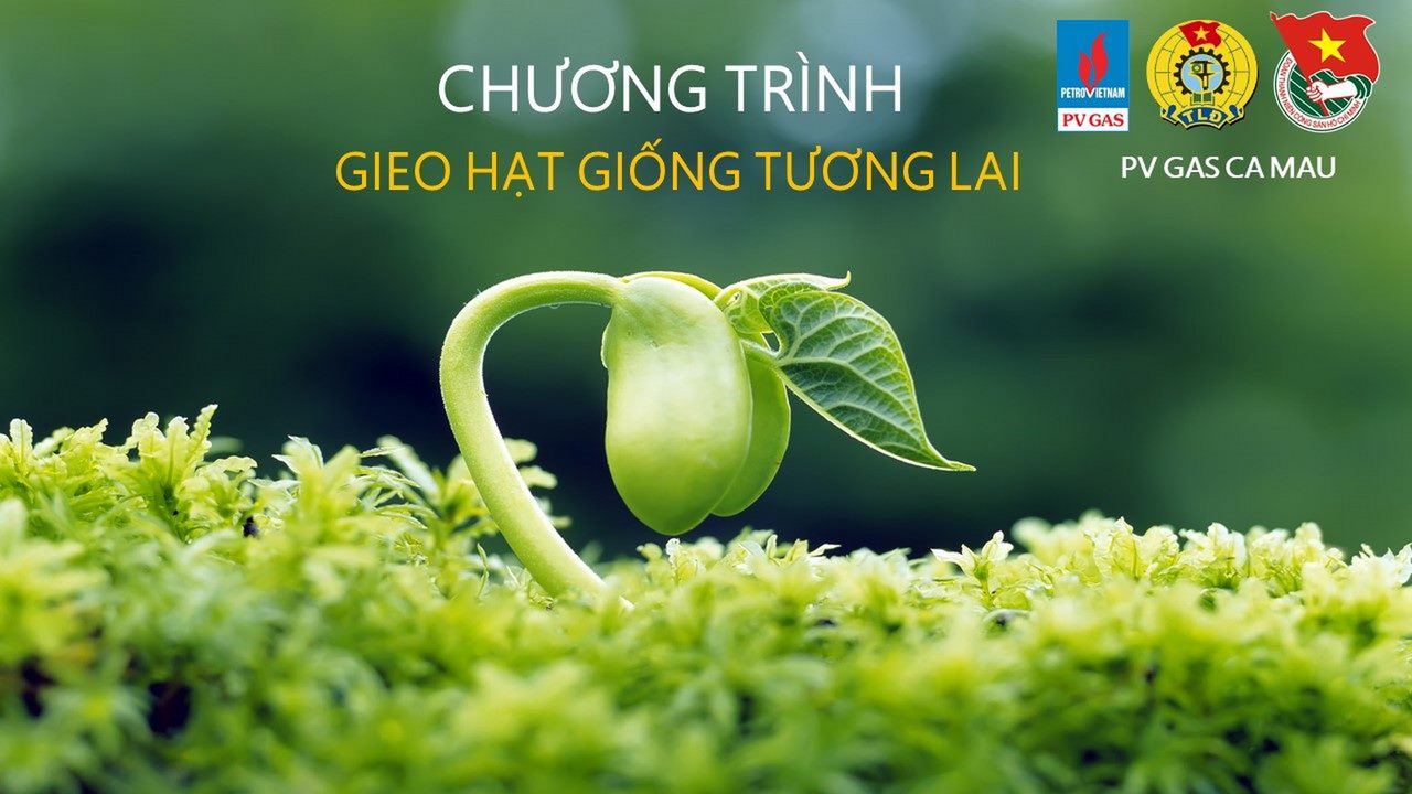 KCM trao tặng học bổng cho sinh viên  trong chương trình “Gieo hạt giống tương lai năm 2019”