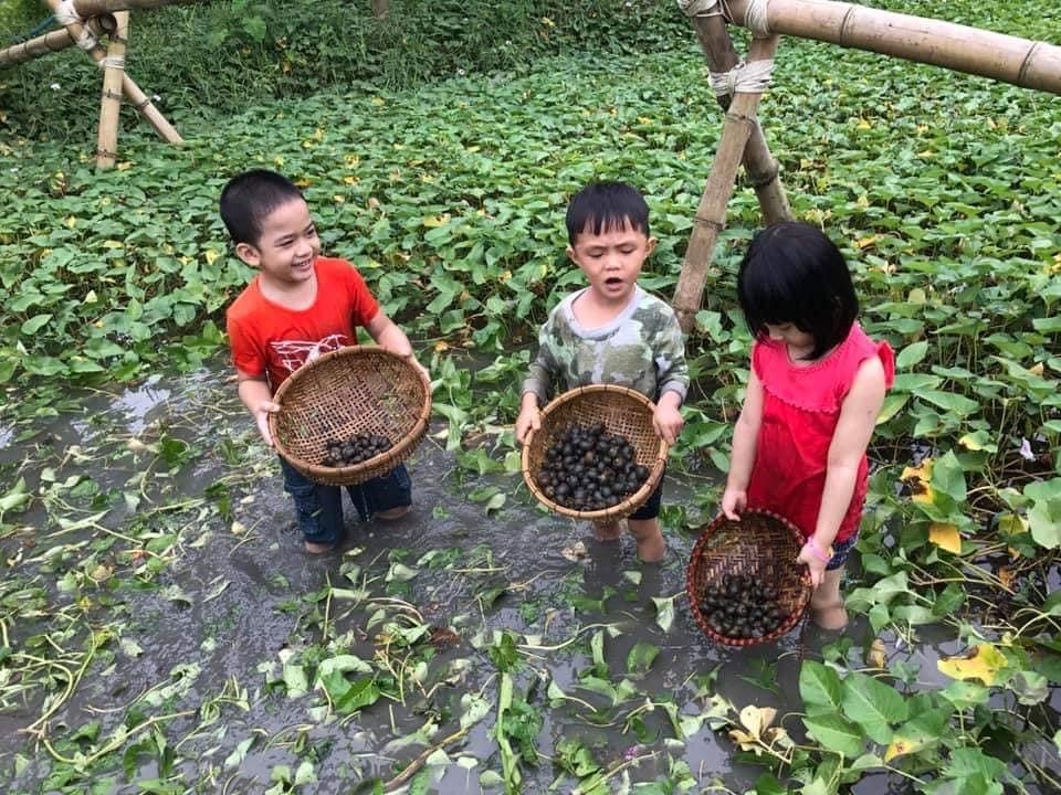 “BẾP NHÀ – MÙA COVID” – Cuộc thi đẹp mừng ngày Gia đình Việt Nam “BẾP NHÀ – MÙA COVID” – Cuộc thi đẹp mừng ngày Gia đình Việt Nam