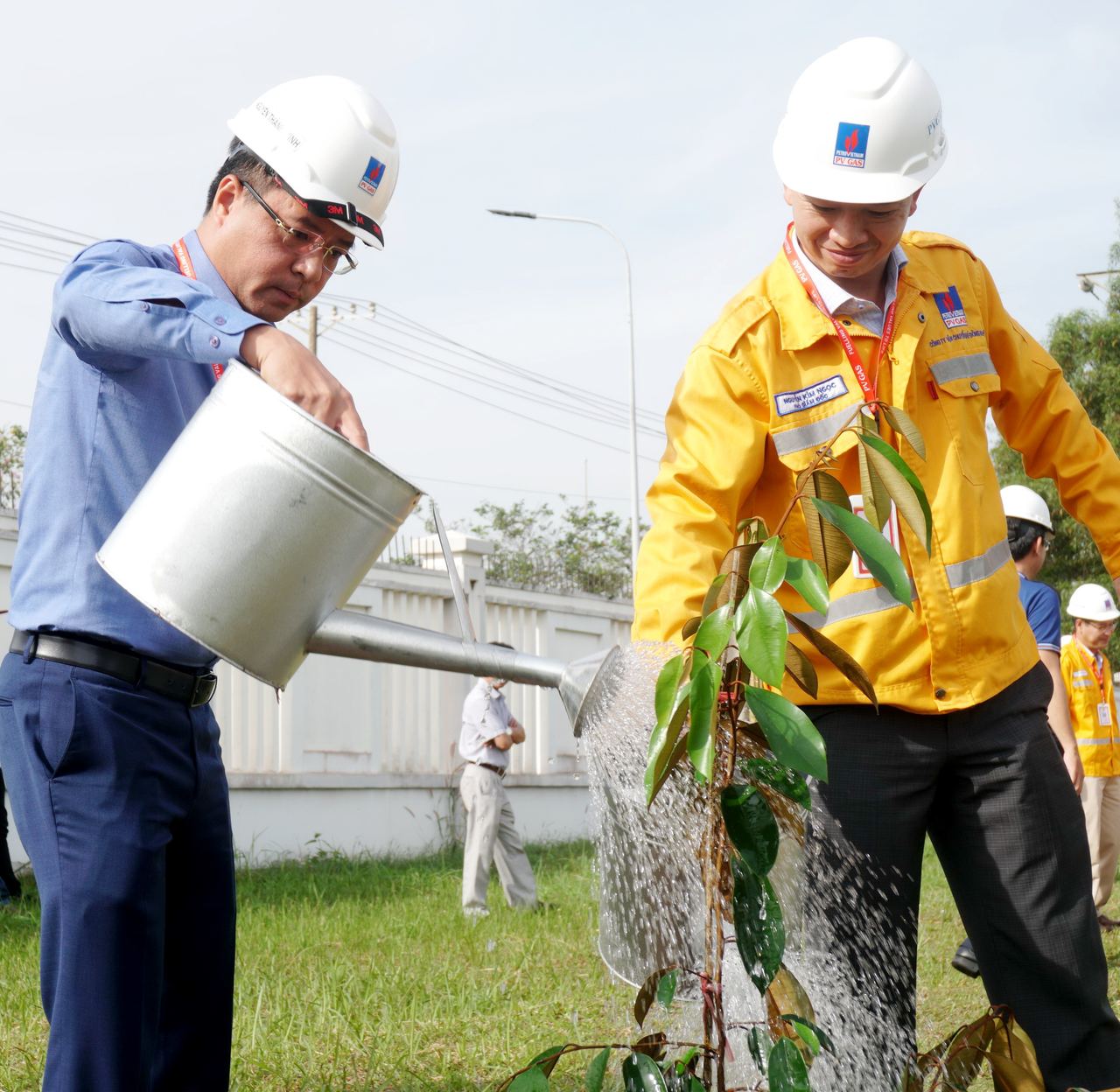 PV GAS Khí Đông Nam - CHUNG TAY VÌ MÀU XANH TRÊN CÔNG TRÌNH KHÍ