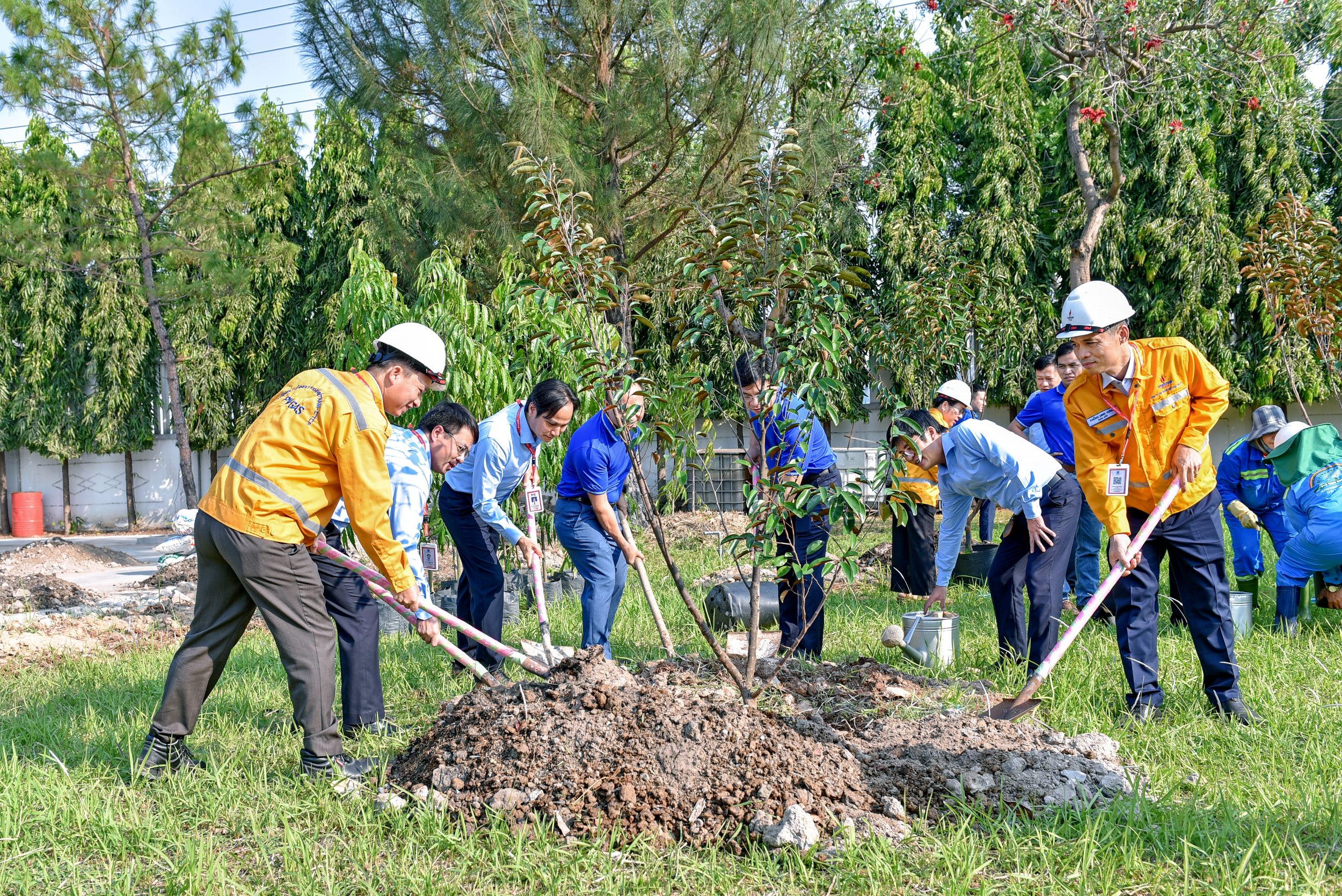 PV GAS SE chung tay vì màu xanh trên công trình khí