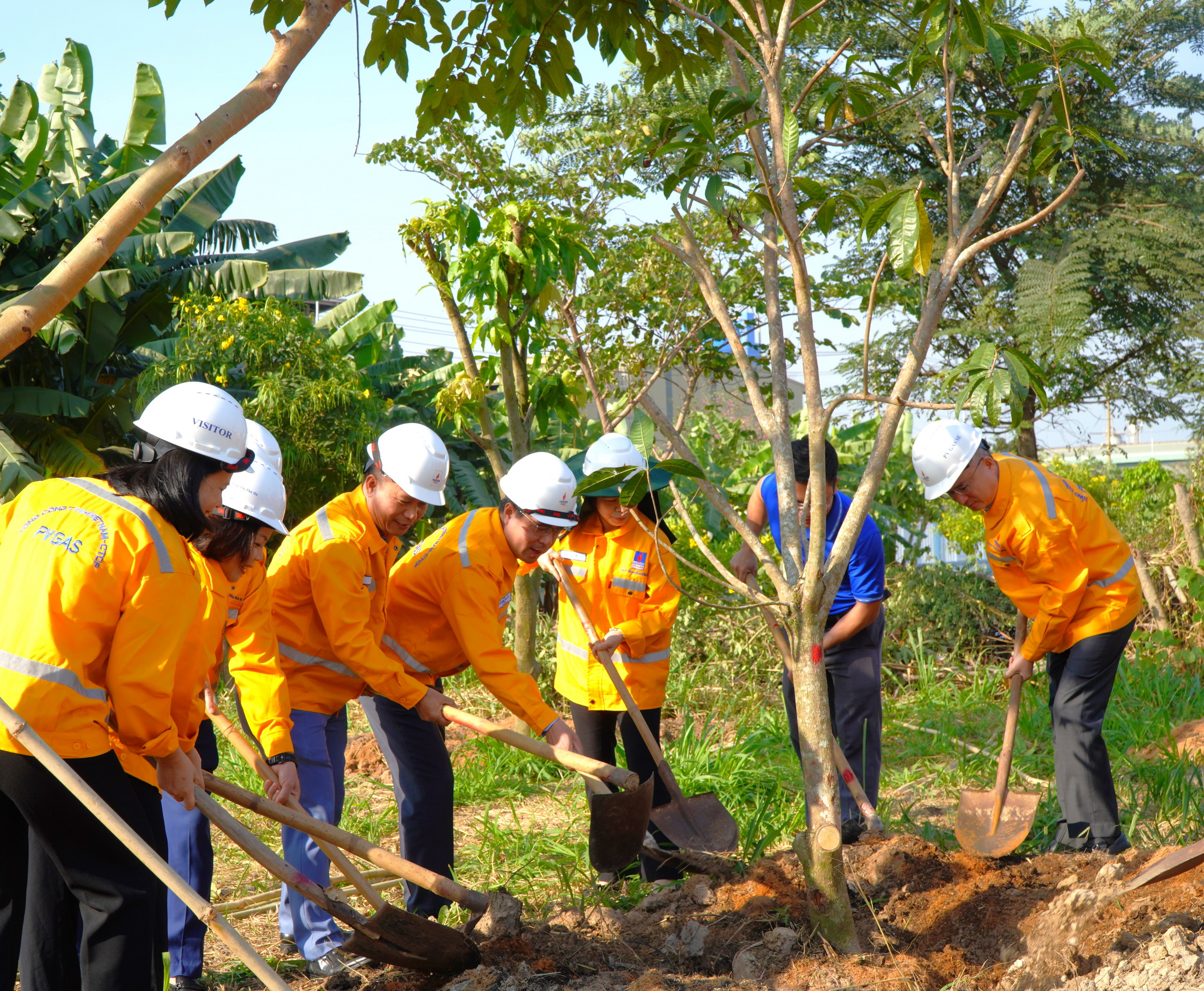 PV GAS SE spreads green across projects