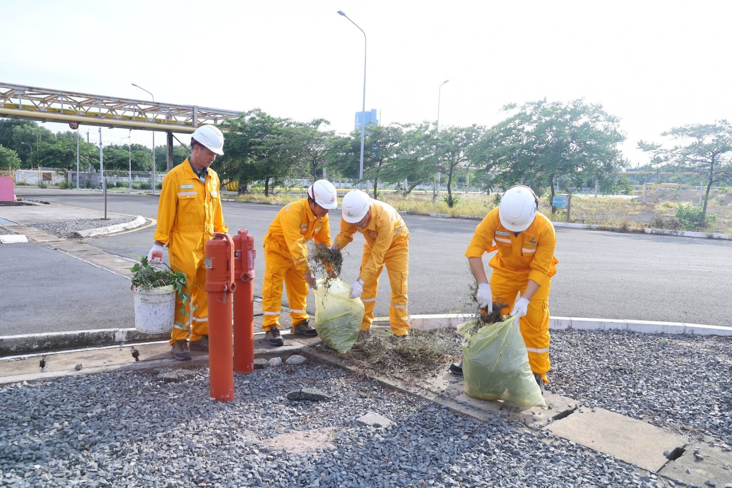 Tuổi trẻ KĐN chung tay xây dựng môi trường làm việc xanh - sạch - đẹp